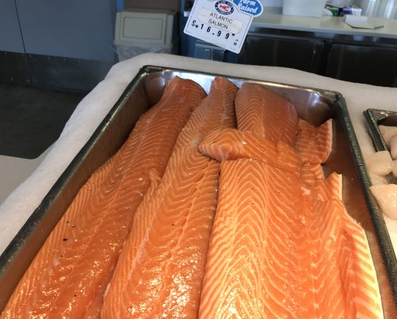 Fresh Salmon Fillet