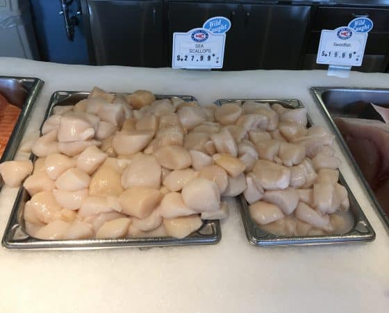 Scallops