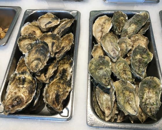 Oysters